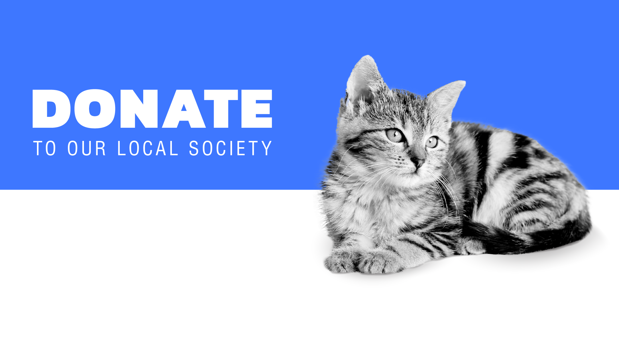 humane-society-banners-large-02-the-humane-society-of-north-myrtle