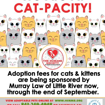 Our Shelter is at Cat-Pacity